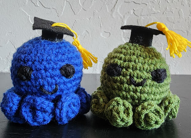 Graduation octopi